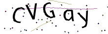 CAPTCHA security code
